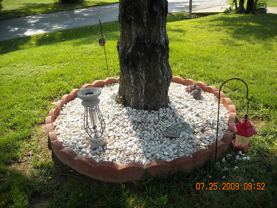 Tree in front yard - redone