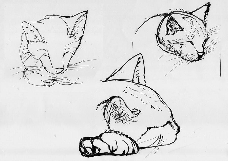 Sketch ink cat head