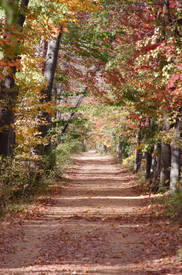 Gateway to Autumn