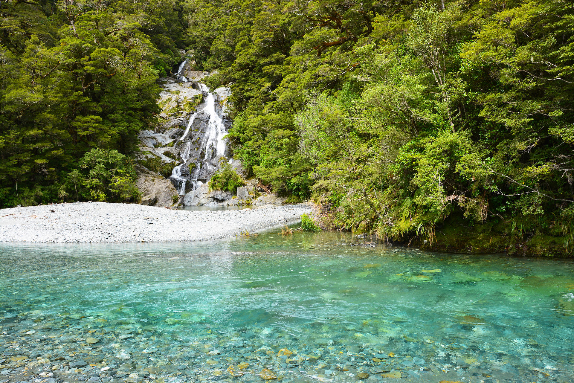 NZ Waterfall