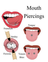 Piercing Study - Mouth