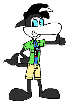 Finn the Orca Redesign