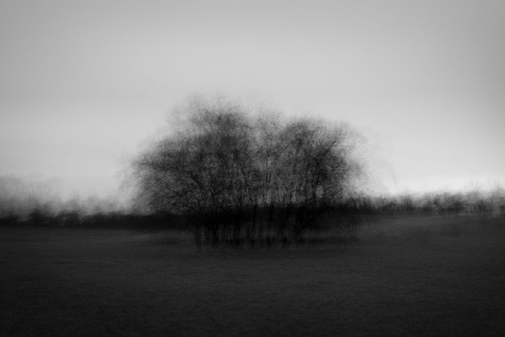 Copse in the Round