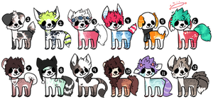 dog adopt batch open