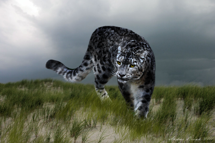 The Stalking Nundu by TheCopperDragon2004