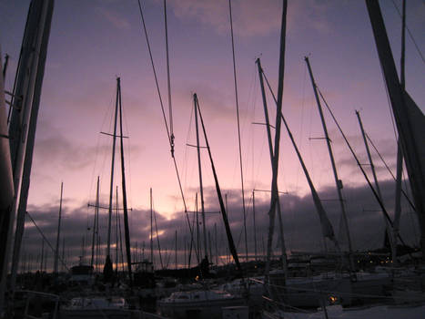 on the docks