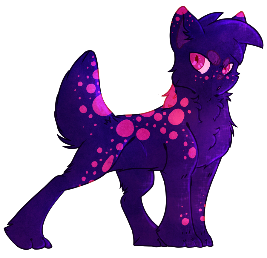 Skitter by KibaWhiteWarrior on DeviantArt