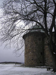 Cold Tower