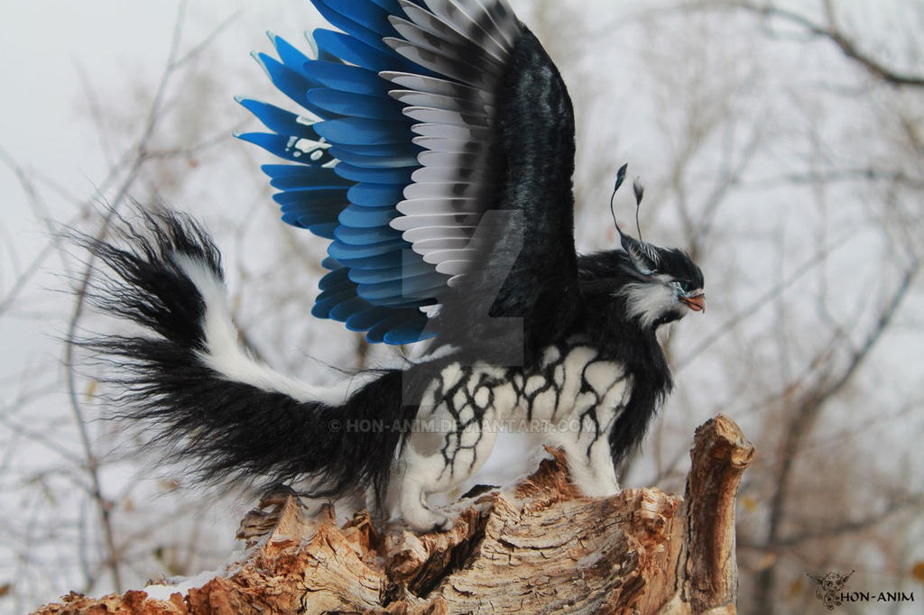 Black and White Griffin by hon-anim on DeviantArt