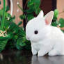 White Rabbit, soft toy, my handmade work