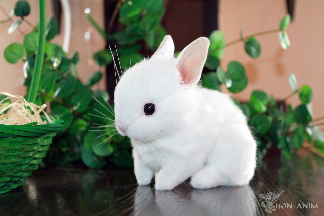 White Rabbit, soft toy, my handmade work by hon-anim on DeviantArt