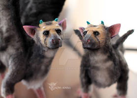 Two Trico