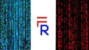 French Hackers Flag