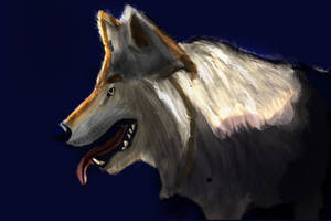 WOLF Lighting Digital Drawing