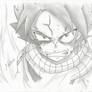 This Is For The Guild.... (Natsu Dragneel)