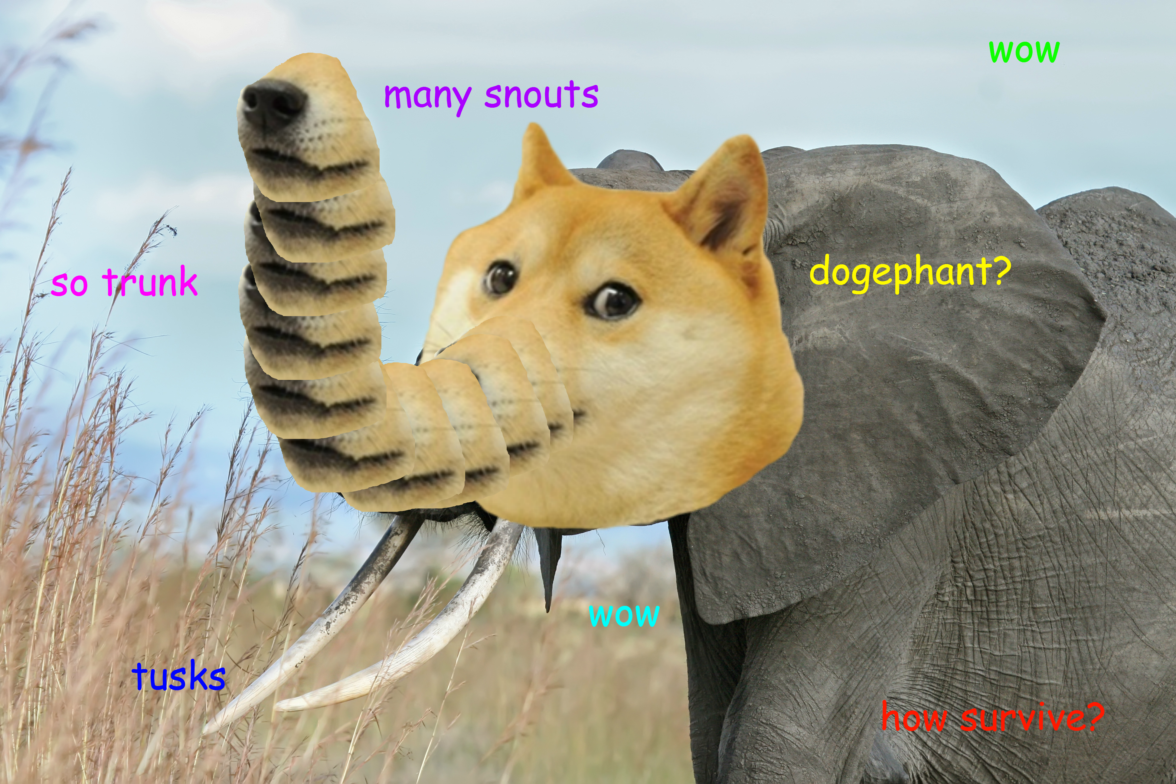 Dogephant