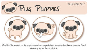 Pug Button Set