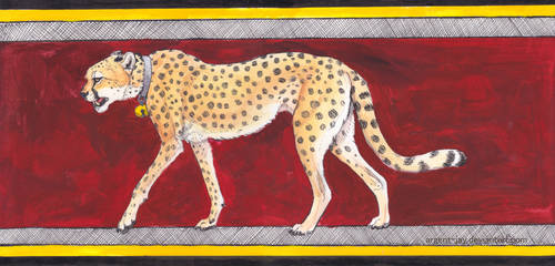 Cheetah