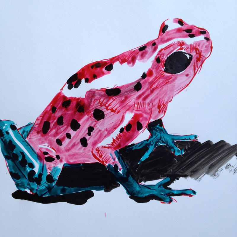 Frog 04 by IsaacNixon on DeviantArt