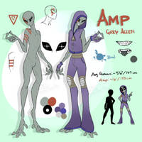 New Amp Ref