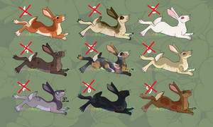 Watership Down FREE Rabbit Adopts CLOSED!