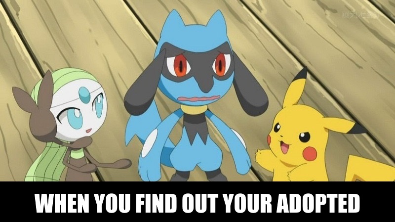 Pokemon Meme 2 Your Adopted By Mega Squirtle On Deviantart Pokemon Meme 2 Your Adopted By Mega Squirtle On Deviantart