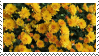 {f2u} yellow flowers