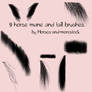 Mane and Tail brushes for gimp