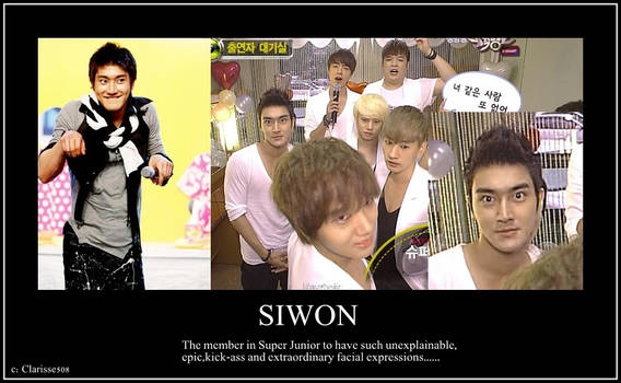 Siwon's Face MP