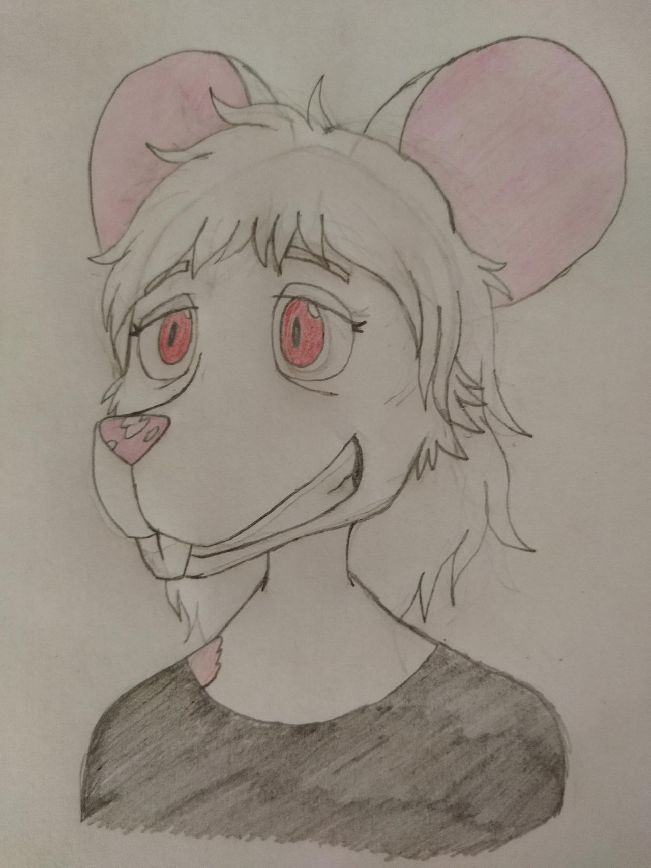 Wayward Rabbit Q and A Fancy 2022 Edition by WaywardRabbitDani22 on DeviantArt