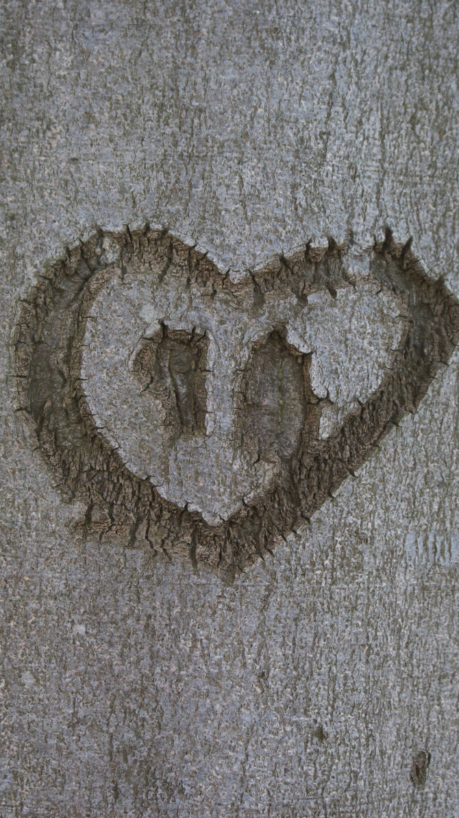 tree abuse by trille130 on DeviantArt