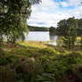 Loch an Eilean 3