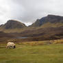 Isle of Skye 11