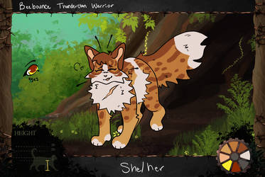 Beebounce of Thunderclan