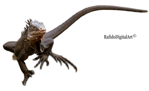 Lizard png