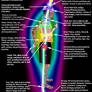 Side Chakra Diagram