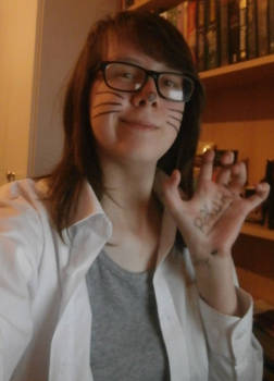 Cat whiskers