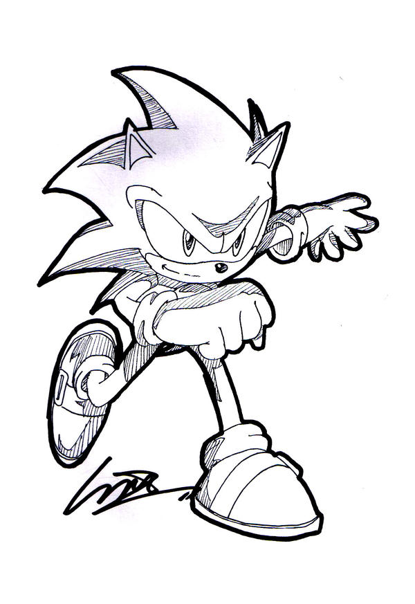 Sonic the hedgehog