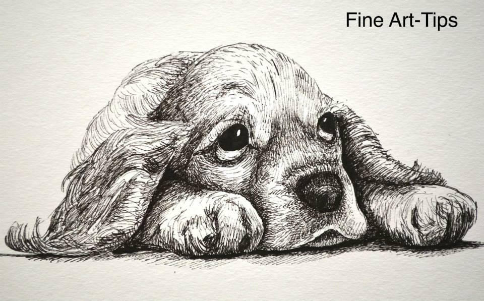 Рисунок собаки графика. Собака рисунок. Щенок рисунок. Животные карандашом. Собака рисунок карандашом.