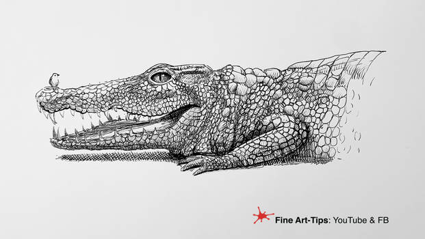 HOW TO DRAW AN ALLIGATOR WITH INK - Timelapse