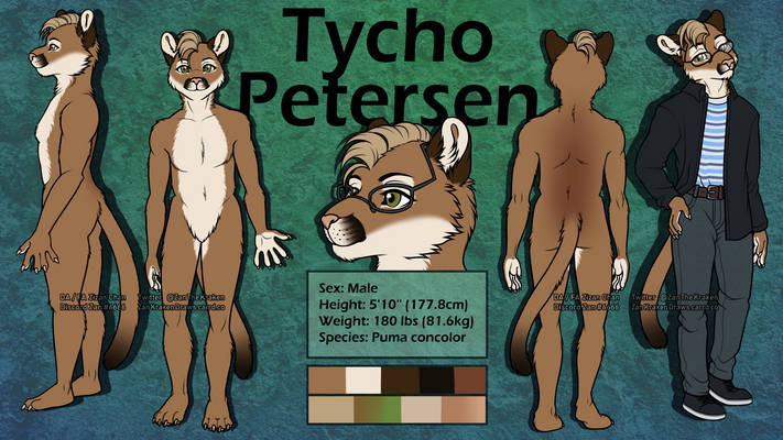 Tycho Petersen