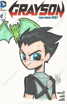 Teen Titans Go Grayson