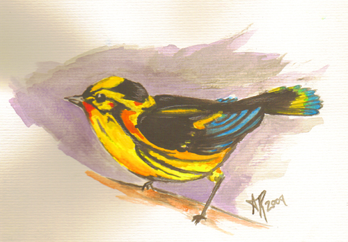 small watercolor- finch