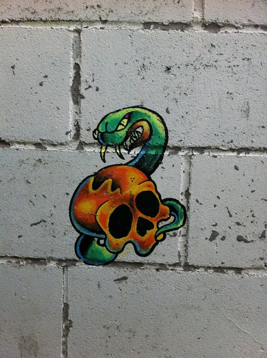 graf skull and snake