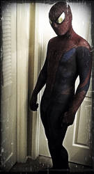 Amazing Spiderman Costume
