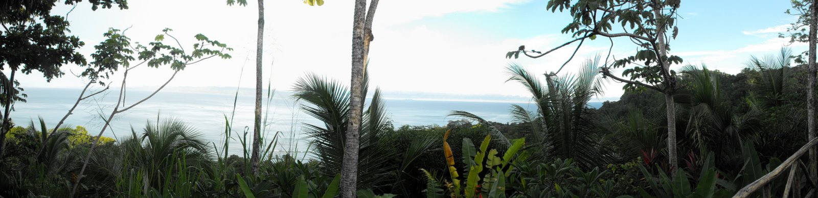 Panorama from Lapa Rios