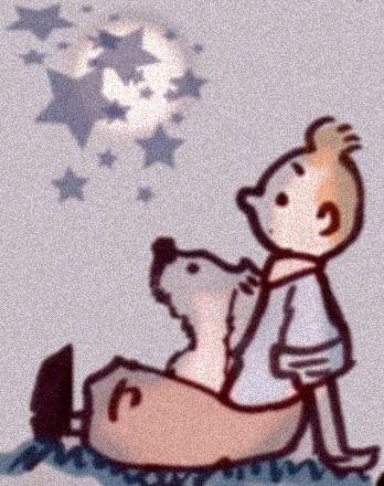 tintin and milou