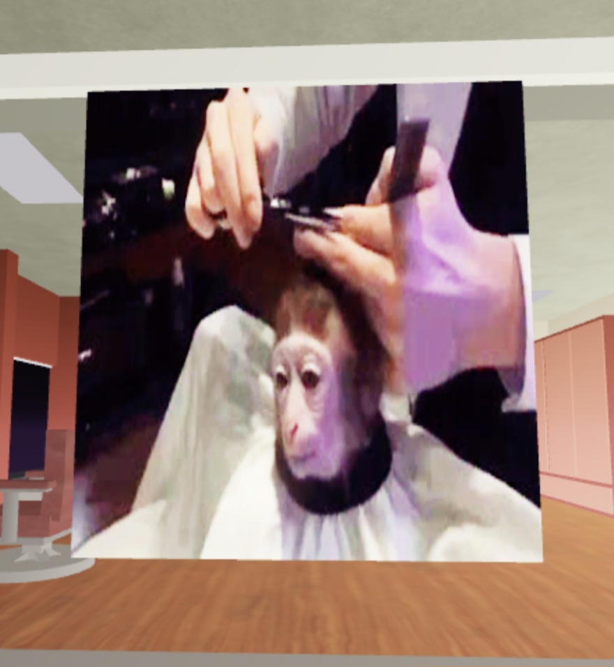 Monkey Haircut Meme By RaghunathPrabhakar On DeviantArt, 47% OFF
