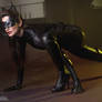 Purrrr Catwoman