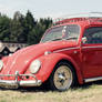 VW Beetle